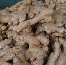 Load image into Gallery viewer, Organic Ginger Root Powder - blendoclock
